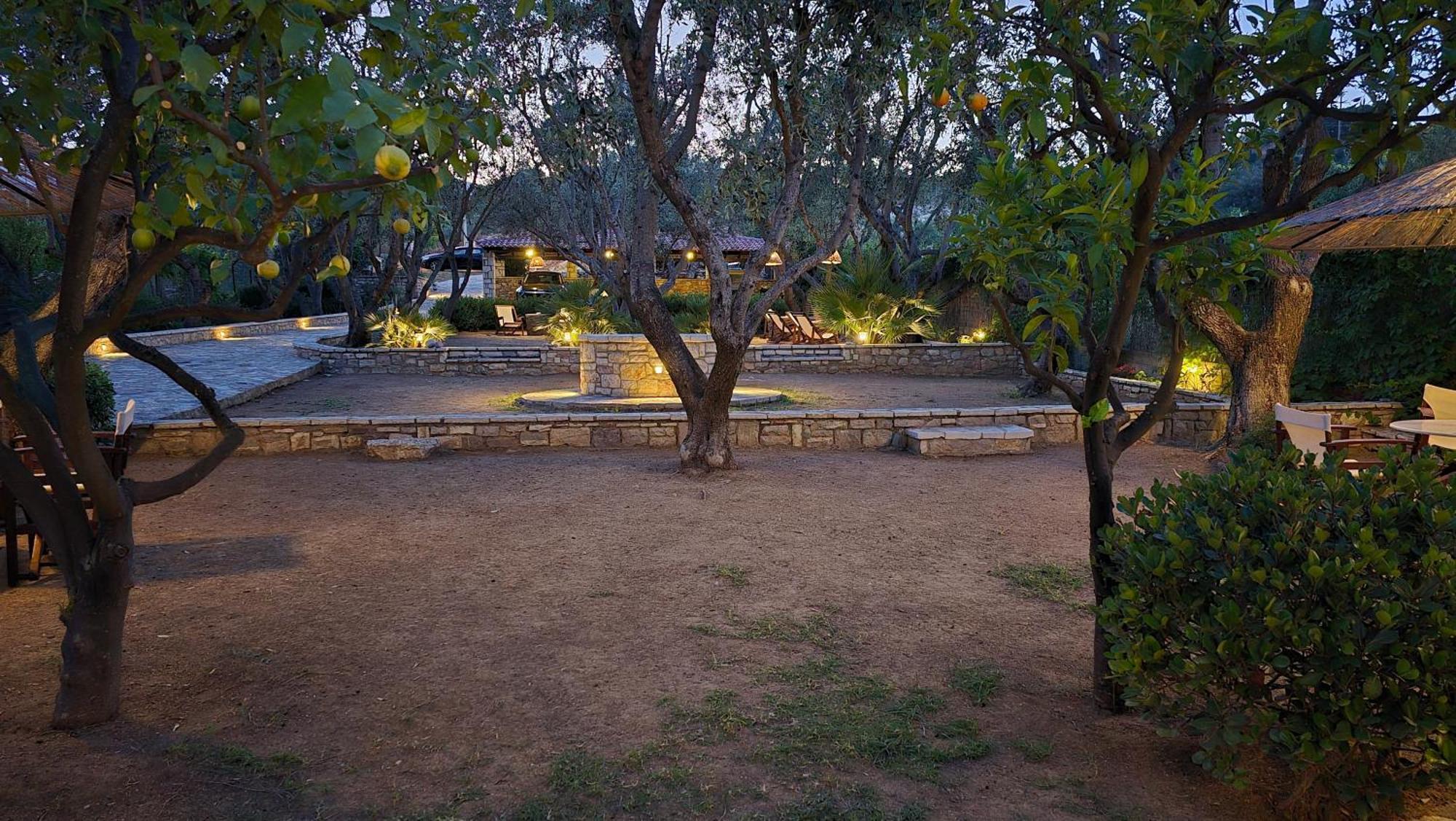 Villa Petra Kalamaki  Esterno foto