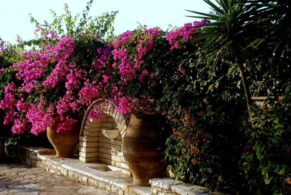 Villa Petra Kalamaki  Esterno foto